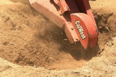 d6