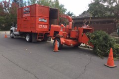 d8